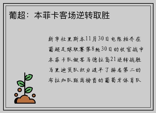 葡超：本菲卡客场逆转取胜